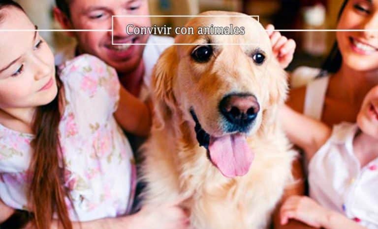 convivir-con-animales