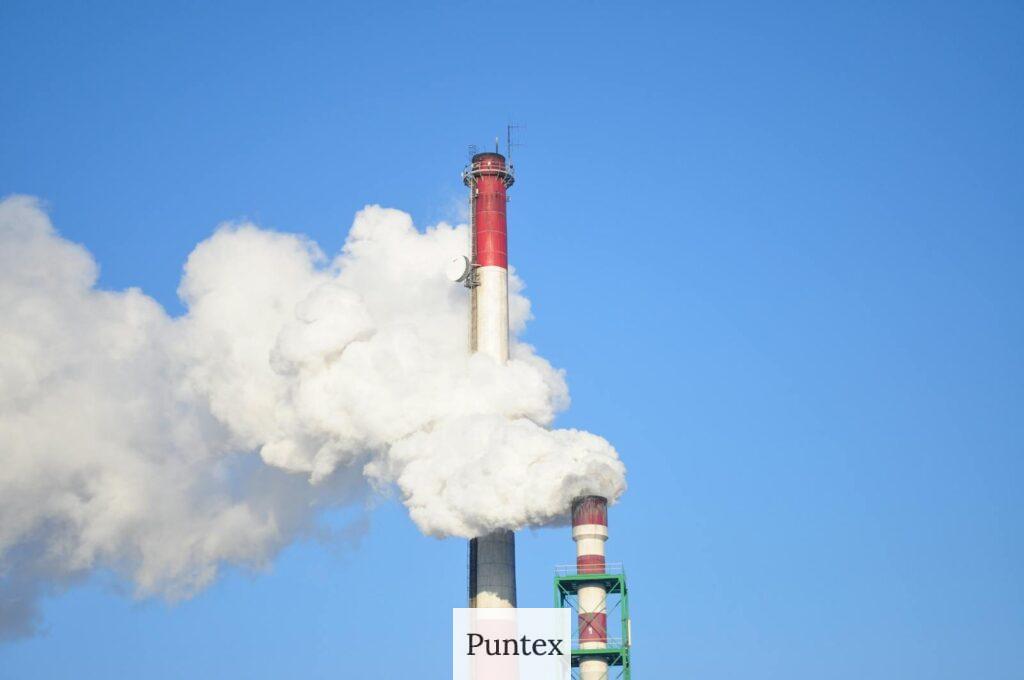 humo